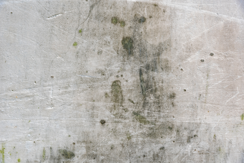 איך להסיר עובש מקירות בקלות ובמהירות?