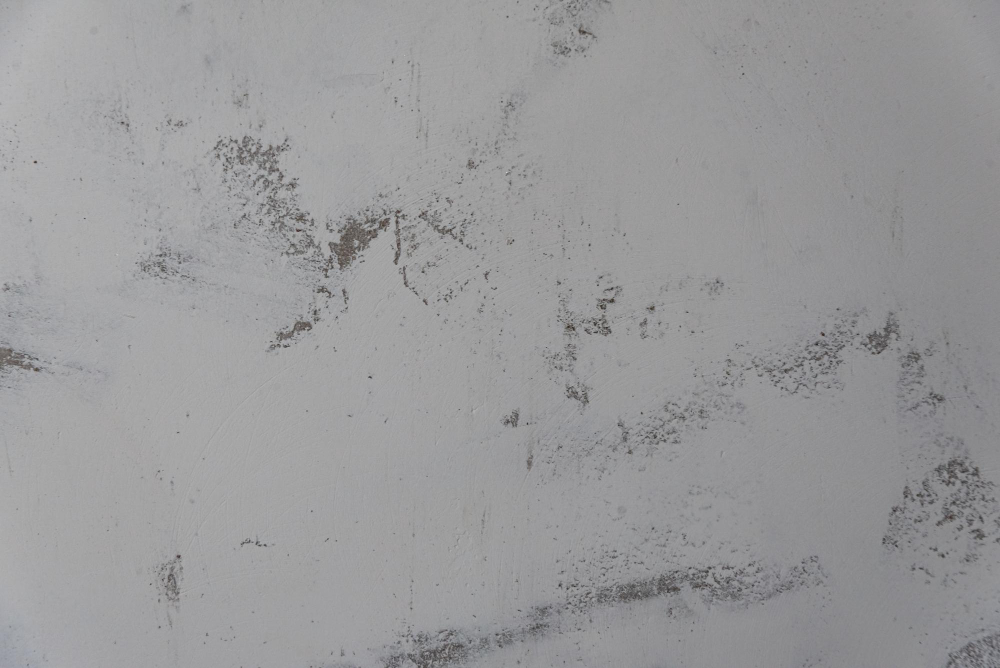 כמה זמן לוקח לתקרה להתייבש אחרי נזילה באמת